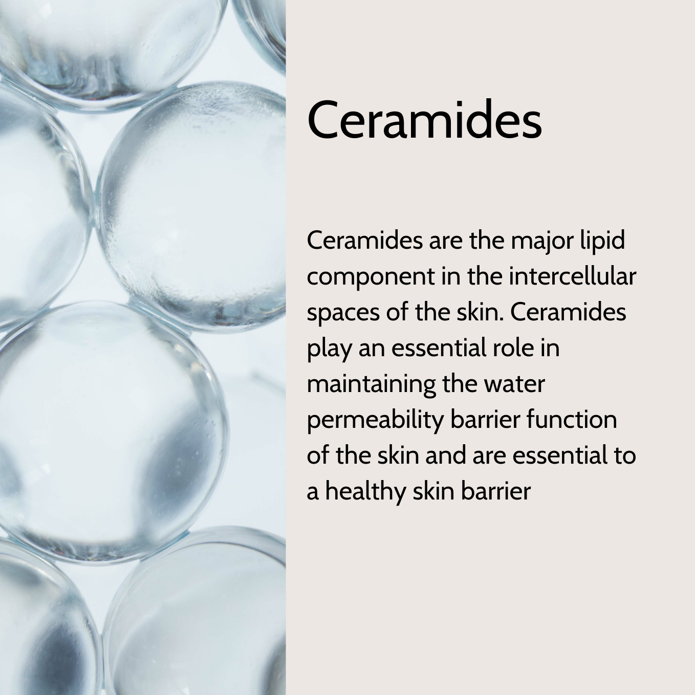 CERAMIDES B3 | SMOOTHING AND HYDRATING SERUM