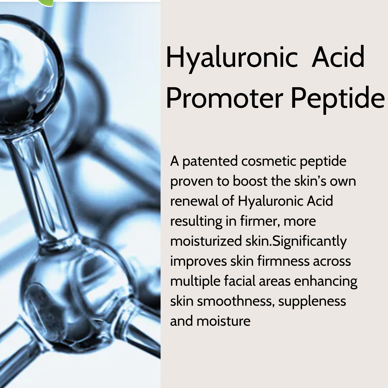 THE QUENCH  |  HYALURONIC ACID BOOSTER